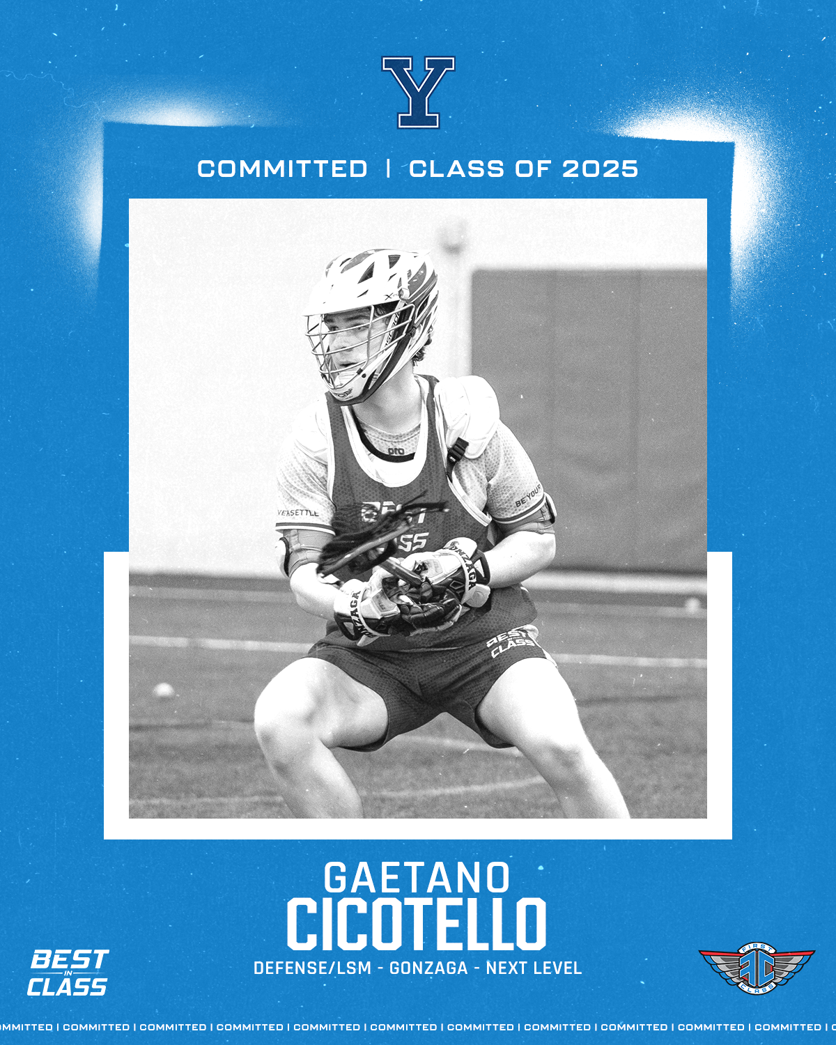 Gaetano Cicotello Commitment Graphic